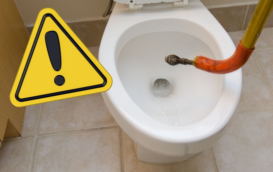 Bahaya Menunda Sedot WC: Risiko Kesehatan dan Dampaknya pada Rumah Anda